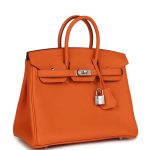 Hermès Birkin 25 Orange Togo Palladium Hardware